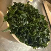 ヒメ日記 2025/12/27 01:36 投稿 みなの スピードエコ梅田店