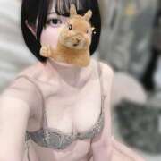 ヒメ日記 2025/11/26 01:25 投稿 れむ かりんと渋谷店