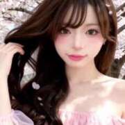 ヒメ日記 2026/04/13 11:45 投稿 さくらこ Gossip girl