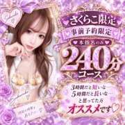 ヒメ日記 2026/09/14 11:30 投稿 さくらこ Gossip girl