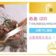 ヒメ日記 2025/03/01 12:06 投稿 めあ 一力茶屋