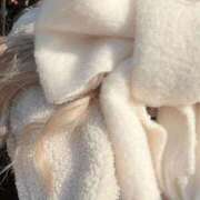 ヒメ日記 2025/04/15 21:02 投稿 めあ 一力茶屋