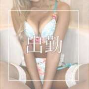 ヒメ日記 2025/08/19 09:00 投稿 めあ 一力茶屋