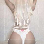 ヒメ日記 2025/08/22 09:05 投稿 めあ 一力茶屋