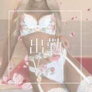 ヒメ日記 2025/08/27 09:00 投稿 めあ 一力茶屋