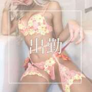 ヒメ日記 2025/08/28 09:00 投稿 めあ 一力茶屋