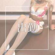 ヒメ日記 2025/09/20 09:00 投稿 めあ 一力茶屋