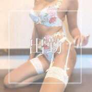 ヒメ日記 2025/09/22 09:00 投稿 めあ 一力茶屋