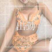 ヒメ日記 2025/10/08 09:00 投稿 めあ 一力茶屋