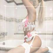 ヒメ日記 2025/10/14 09:13 投稿 めあ 一力茶屋