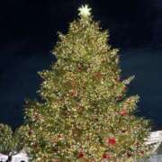 ヒメ日記 2024/12/25 06:52 投稿 夢々(むむ) PLUS梅田店