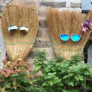 ヒメ日記 2025/01/03 07:52 投稿 夢々(むむ) PLUS梅田店