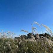 夢々(むむ) 秋の…🍂 PLUS梅田店