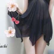 ヒメ日記 2025/04/12 11:00 投稿 竹内 さち 神戸RED DRAGON