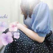 ヒメ日記 2025/06/01 11:00 投稿 竹内 さち 神戸RED DRAGON