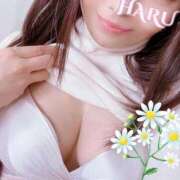 ヒメ日記 2025/01/14 19:09 投稿 はる 北九州人妻倶楽部（三十路、四十路、五十路）