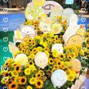 ヒメ日記 2025/08/15 09:07 投稿 内藤さつき 恋する奥さん 西中島店