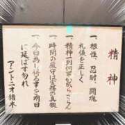 ヒメ日記 2025/08/15 09:51 投稿 内藤さつき 恋する奥さん 西中島店