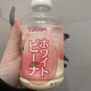 ヒメ日記 2025/04/30 15:31 投稿 すみれ スピードエコ京橋店