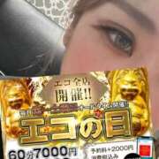 ヒメ日記 2025/07/05 09:11 投稿 すみれ スピードエコ京橋店