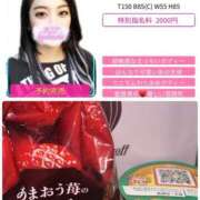 ヒメ日記 2026/04/01 10:41 投稿 すみれ スピードエコ京橋店