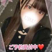ヒメ日記 2025/01/23 10:04 投稿 如月羽琉 多恋人倶楽部