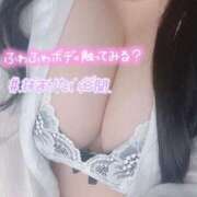 ヒメ日記 2025/03/16 20:01 投稿 ここの 所沢東村山ちゃんこ