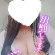 ヒメ日記 2025/03/20 13:47 投稿 ここの 所沢東村山ちゃんこ