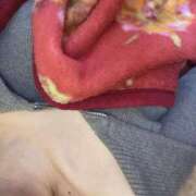 ヒメ日記 2025/04/26 02:53 投稿 しほ 奴隷コレクション