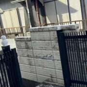 ヒメ日記 2025/02/08 13:36 投稿 さりな ギン妻パラダイス 堺東店