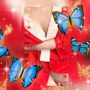 ヒメ日記 2025/07/26 17:02 投稿 さりな ギン妻パラダイス 堺東店