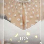 ヒメ日記 2025/01/06 23:45 投稿 小鳥遊 とあ 快楽園 大阪梅田