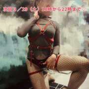 ヒメ日記 2025/03/27 23:43 投稿 小鳥遊 とあ 快楽園 大阪梅田