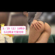 ヒメ日記 2025/03/29 17:53 投稿 小鳥遊 とあ 快楽園 大阪梅田