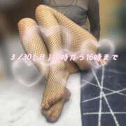 ヒメ日記 2025/03/30 09:53 投稿 小鳥遊 とあ 快楽園 大阪梅田