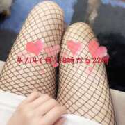 ヒメ日記 2025/04/14 17:53 投稿 小鳥遊 とあ 快楽園 大阪梅田