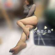 ヒメ日記 2025/05/02 08:39 投稿 小鳥遊 とあ 快楽園 大阪梅田