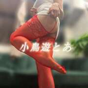 ヒメ日記 2025/05/07 03:19 投稿 小鳥遊 とあ 快楽園 大阪梅田