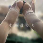 ヒメ日記 2025/05/09 23:59 投稿 小鳥遊 とあ 快楽園 大阪梅田