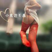 ヒメ日記 2025/05/12 16:09 投稿 小鳥遊 とあ 快楽園 大阪梅田