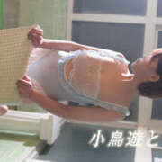 ヒメ日記 2025/06/07 14:39 投稿 小鳥遊 とあ 快楽園 大阪梅田