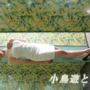 ヒメ日記 2025/06/08 16:39 投稿 小鳥遊 とあ 快楽園 大阪梅田