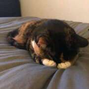 ヒメ日記 2025/06/06 09:29 投稿 あずさ まじらぶ！