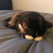 ヒメ日記 2025/11/24 19:15 投稿 あずさ まじらぶ！