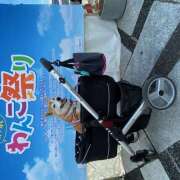 ヒメ日記 2024/12/26 23:36 投稿 いろは 渋谷 風俗 いきなりビンビン伝説