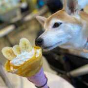 ヒメ日記 2025/02/06 22:46 投稿 いろは 渋谷 風俗 いきなりビンビン伝説