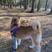 ヒメ日記 2025/02/22 20:17 投稿 いろは 渋谷 風俗 いきなりビンビン伝説