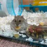 ヒメ日記 2025/03/01 22:40 投稿 いろは 渋谷 風俗 いきなりビンビン伝説