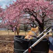 ヒメ日記 2025/03/02 13:46 投稿 いろは 渋谷 風俗 いきなりビンビン伝説