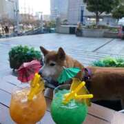 ヒメ日記 2025/03/04 17:28 投稿 いろは 渋谷 風俗 いきなりビンビン伝説